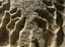 Постер аниме История Болоджи