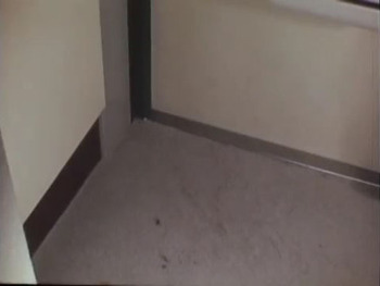 Кадр 0 аниме Волна