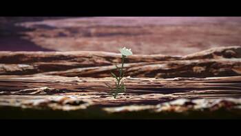 Кадр 0 аниме Сломанный меч 1: Час пробуждения