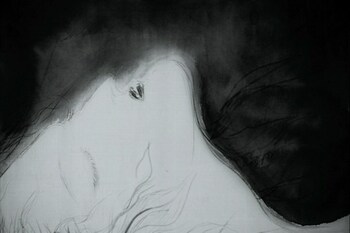 Кадр 1 аниме Раковина фантастических видений