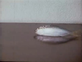 Кадр 2 аниме Волна